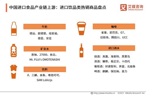 2023-2024年中國(guó)進(jìn)口食品電商行業(yè)展望 市場(chǎng)規(guī)模持續(xù)擴(kuò)大與河北網(wǎng)站開發(fā)的機(jī)遇